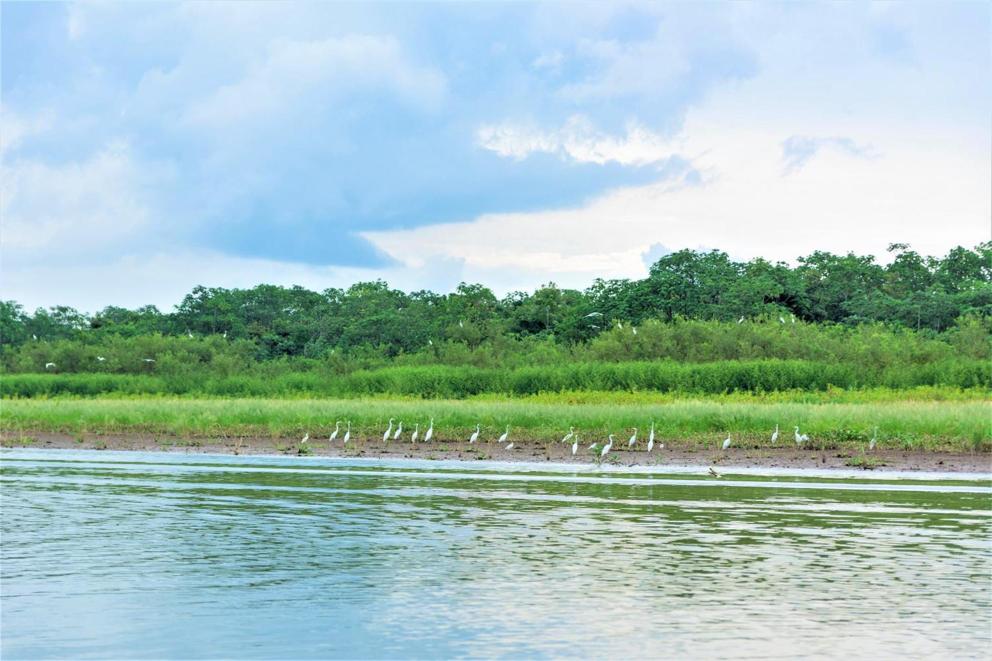 Avatar Amazon Lodge & Canopy Park Santa Teresa  Exterior foto