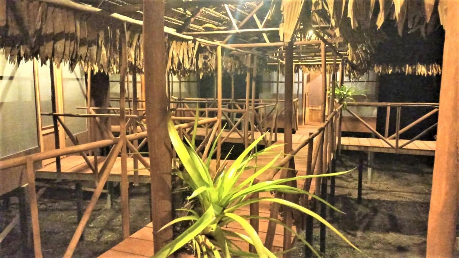 Avatar Amazon Lodge & Canopy Park Santa Teresa  Exterior foto